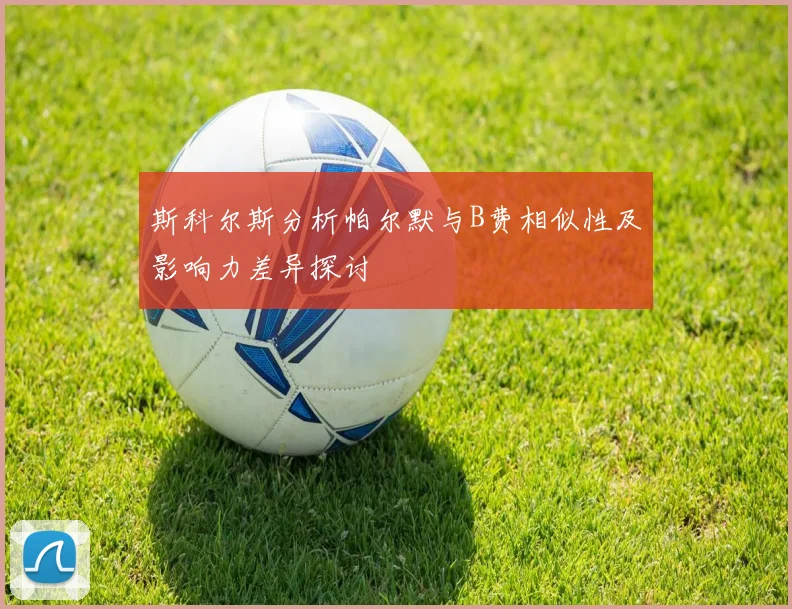 斯科尔斯分析帕尔默与B费相似性及影响力差异探讨